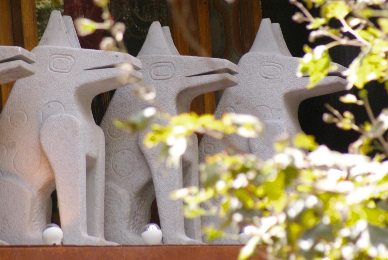 Dolce Lobo Boutique Stay Quito Dış mekan fotoğraf