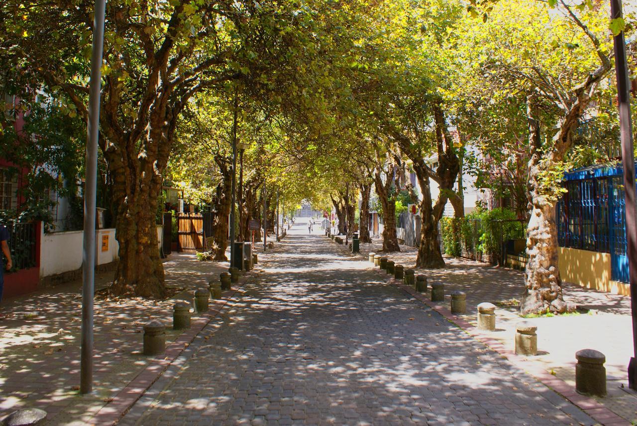Dolce Lobo Boutique Stay Quito Dış mekan fotoğraf